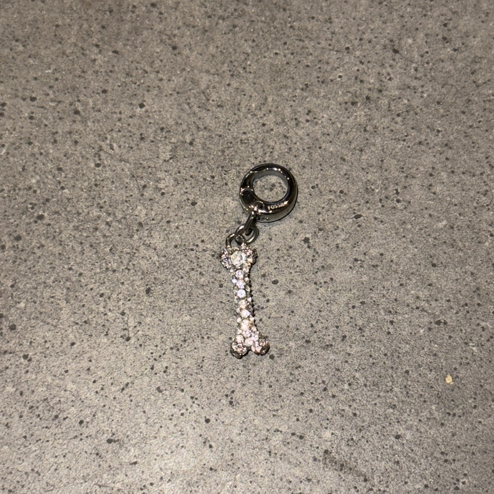 Rhinestone Dog Bone Charm from Fossil